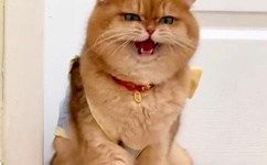 午夜十二点伦理电影